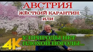 АВСТРИЯ. БЕЗЛЮДНАЯ ВЕНА...ЖЁСТКИЙ КАРАНТИН. Апрель 2021.