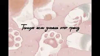 🐱🐈Танцуй если знаешь этот тренд🐈🐱