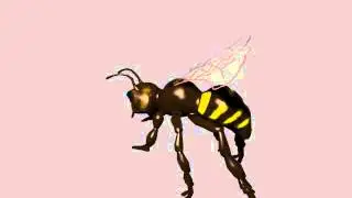 Animation Test: Bee01
