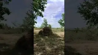 Мир, может, и остался прежним, зато обои поменялись, верно? #рек #успех #психология #цитаты