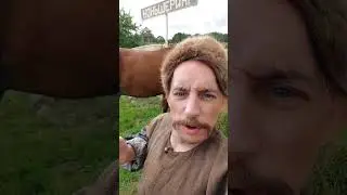 КоньШеринг 😂