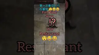 First Time Saw a (...!?) in a Restaurant 😲 [第一次看见(...!?)在餐馆 😲]