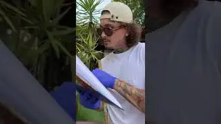 MORGENSHTERN В РАБОТЕ | АПРЕЛЬ 2025 