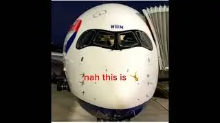 the best death stare #meme #777 #avegeg #deathstare