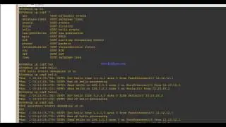 ospf hello packet