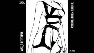WZX_O & TECHSIA - Control Your Fanstasy (Edit)