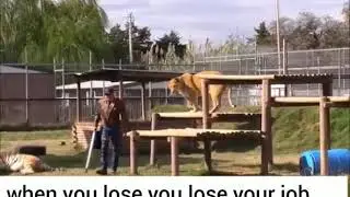 Who's Joe