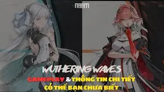 Jinhsi & Changli | Gameplay và thông tin chi tiết có thể bạn chưa biết  | Wuthering Waves