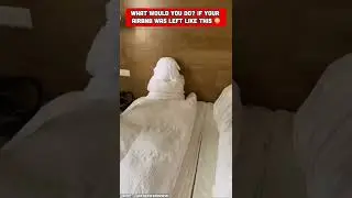 The WORST AirBNB Guests Ever?!