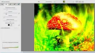Picasa – бесплатный фоторедактор от Google
