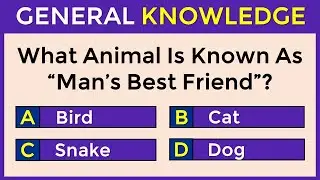 30 General Knowledge Questions! | How Good Is Your General Knowledge? #challenge 76