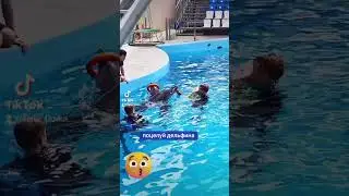 дельфинотерапия Тимки #подпишись  #ставь👍