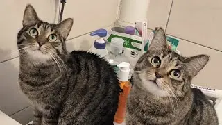 Sophie and Jenny - Morning bathroom routine - 4K