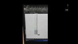 duplicate values in Excel Fliter