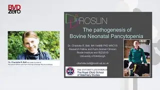 The Pathogenesis of Bovine Neonatal Pancytopenia (BNP), Dr. Charlotte R. Bell, Roslin Institute
