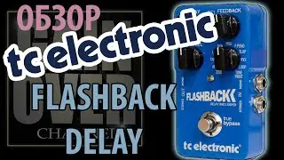 TC ELECTRONIC Flashback Delay & Looper TonePrint (Обзор педали от GAIN OVER)