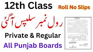 2nd Year Roll No Slips Exams 2024 All Boards | 12th Class Roll No Slips 2024 | FA FSc ICS 2024