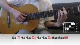 Cây đàn sinh viên (Quốc An) - Chuyển soạn guitar solo (fingerstyle) Vũ Đức Hiển - Hướng dẫn hợp âm