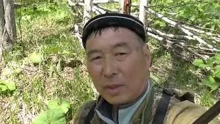 Следы медведя, история про охоту и разговор про сняряжение 2022г.