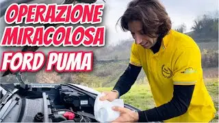 TERMINATO IL LAVORO SULLA FORD PUMA! ASSETTO, TAGLIANDO, ADDITIVO E IN COLLINA LA MAGIA...