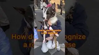 How to recognize a real Japanese 😲Features of the Japanese🇯🇵  