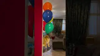 Только вверх 