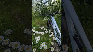 Riding the Nicolet
