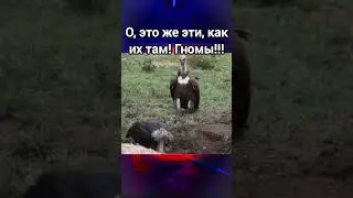 Братья гномы!🧙🏻‍♂️✨