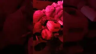 Когда доволен урожаем! 😂😂😂👍👍👍