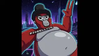 bigbellyvr