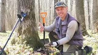 Пять лет моему металлоискателю xp deus а он как Новый