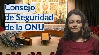 Consejo Seguridad de Naciones Unidas (ONU)