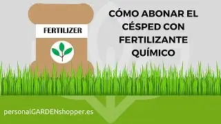 HOW TO FERTILIZE THE LAWN WITH CHEMICAL FERTILIZER