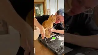 Кнопка Ютуба Симбочки!😻