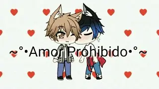 ~°•Amor Prohibido•°~ (Yaoi)