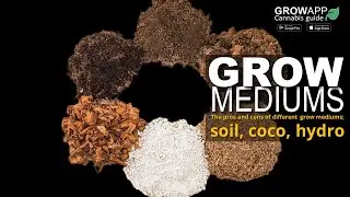 The pros and cons of different grow mediums; soil, coco, hydro
