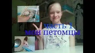 Мои петомцы 1 часть