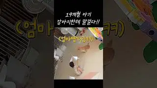 강아지한테 사랑이가 처음 한 말은??!!🫢