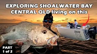 5 Day Liveaboard Solo Adventure | Shoalwater Bay Central QLD | Monster Fingermark & More