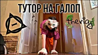 ТУТОР НА ГАЛОП🍃🌼🍄