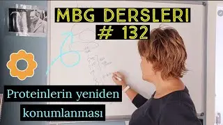 Proteinlerin yeniden konumlanması MBG Dersleri #132