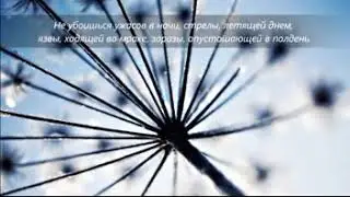 Псалом 90 прибежище мое и защита моя, Бог мой