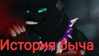 история быча коти воители 1 часть .../// cats warriors history part 1...