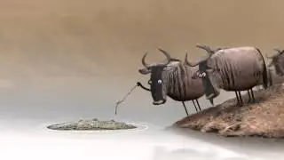 Wildebeest from Birdbox Studio