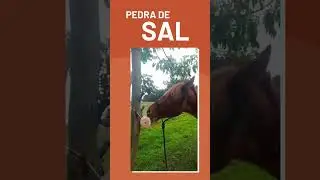 PEDRA DE SAL ROSA DO HIMALAIA