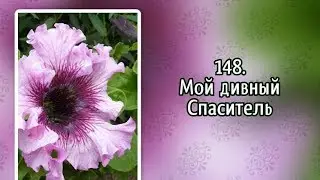 Гимны надежды 148 Мой дивный Спаситель (-)