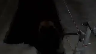 С Праздником Крещением Господня!!!Счастья, мира и добра!!!