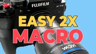 Macro Photography for Beginners: Laowa 2X Macro Lens Review