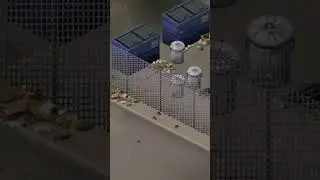 LES RATS ARRIVENT DANS PROJECT ZOMBOID