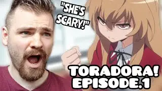 SO TINY BUT SO ANGRY??!! | TORADORA! | Episode 1 | New Anime Fan | REACTION!